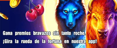Tu suerte comienza aquí 🏆